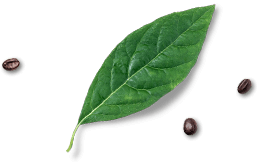 Premium service rates (versione NON aperta/indicizzata)